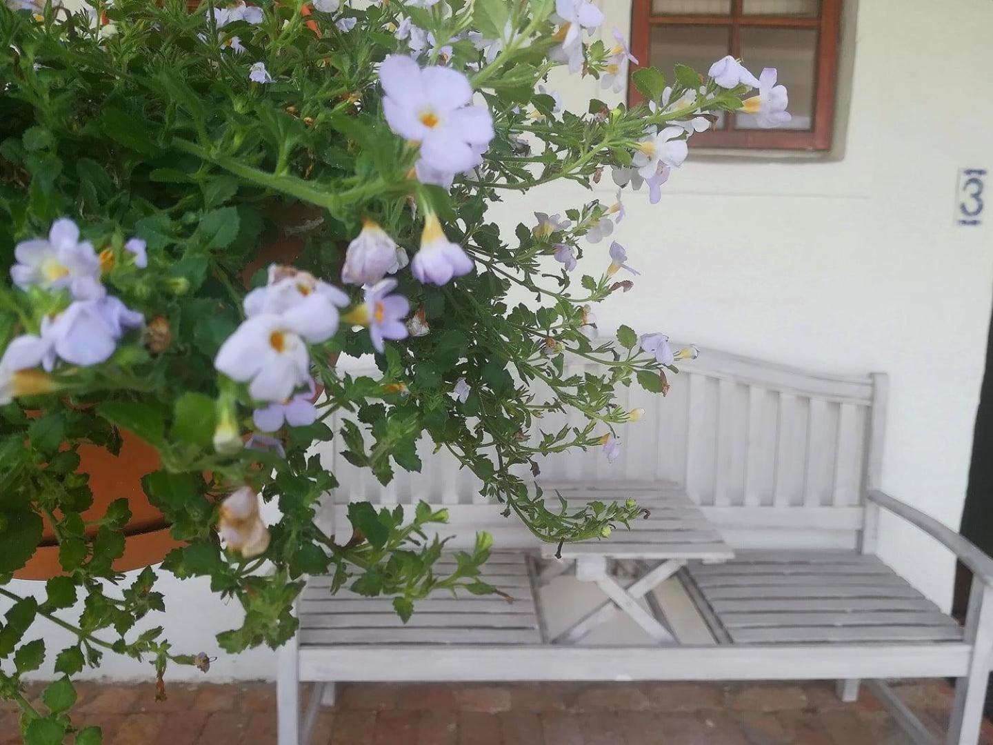 Kaijaiki Country Inn And Restaurant Yzerfontein Quarto foto